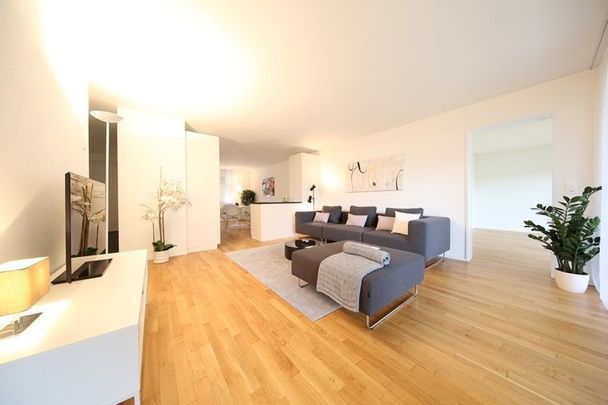 3.5 Zimmer, 85 m², 1. Stock - Foto 1