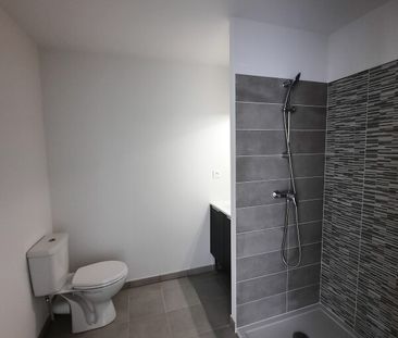 Location Appartement 2 pièces 40m² ROQUES 31120 - Photo 6