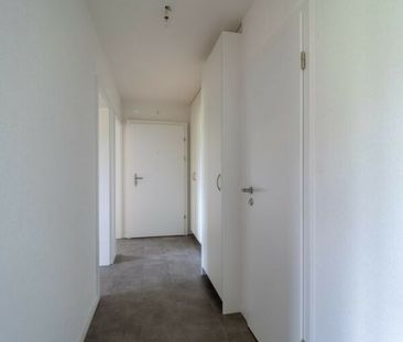 COTTENS (FR) - 3.5 pièces au rez-de-chaussée - Photo 2