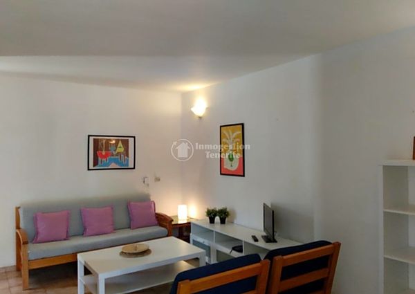 *Rent apartment in Primavera !!!