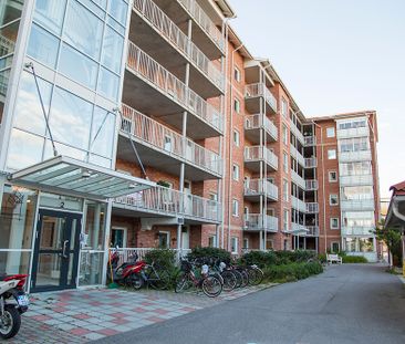 Aronsgatan 2, 94162, Piteå - Foto 2