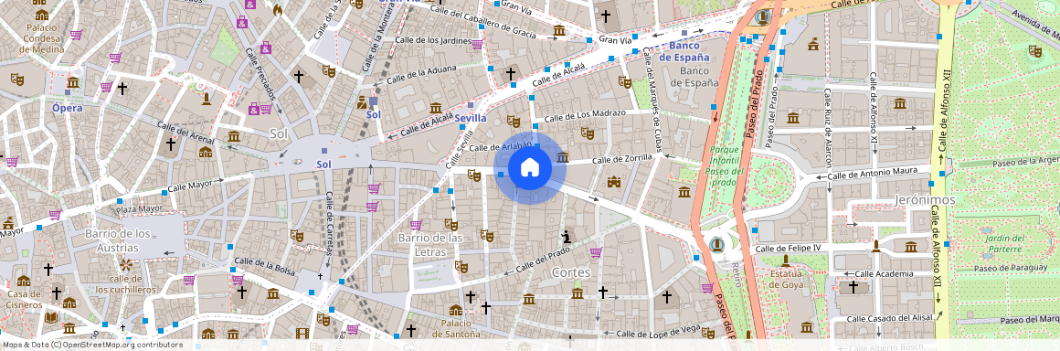 Carrera de San Jerónimo, Madrid, Community of Madrid 28014