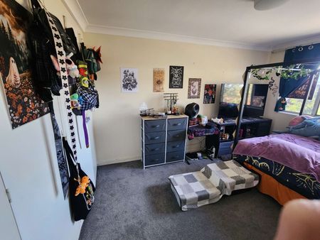 Coorparoo - Photo 5