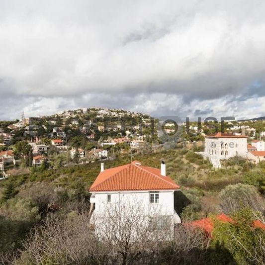Μεζονέτα 225 τ.μ. προς Ενοικίαση - Photo 1
