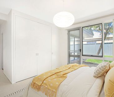 20 Cowrang Avenue, Terrey Hills NSW 2084 - House For Rent | Domain - Photo 3