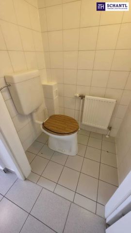 ++ AB SOFORT ++ Helle 3-Zimmer Wohnung Nähe U4 Braunschweiggasse - Photo 2