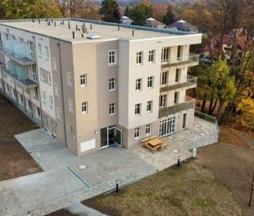 Gemütliches Einzelzimmer im Herzen unserer Seniorenwohnanlage - Photo 1