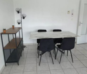 Location T3 62 m2 Dauphiné-Lacassagne Lyon 3ème - Photo 6
