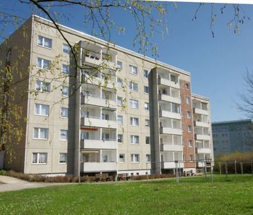 schicke 2 Raum Wohnung in ruhiger Wohnlage - Photo 6