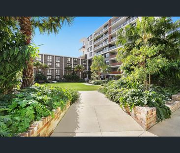 3206/50 Pemberton Street, Botany, NSW 2019 - Photo 2