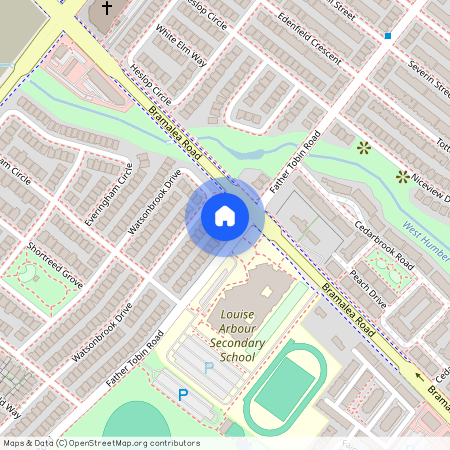 340 Father Tobin Road Unit# Basement, Brampton