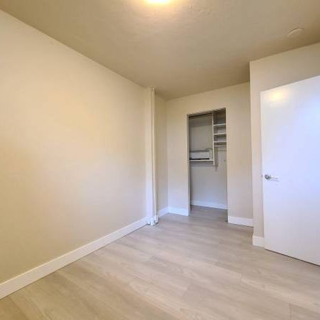 1 bedroom basement apartment unit in Kitsilano Vancouver - Photo 1