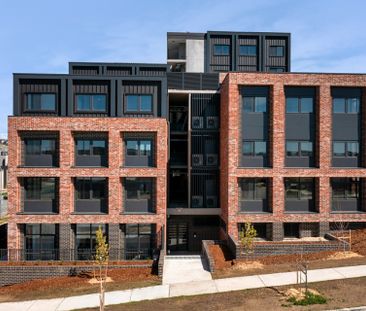 Brand New Complex Ready to Move-In - Photo 6