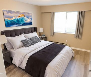 Mainstreet Arms Apartments Chilliwack - Photo 1
