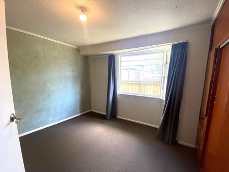 113c Ruskin Street, Addington, NZ 8041 - Photo 4