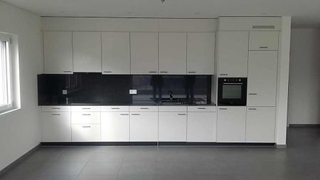 Lugano, zona Stazione, Residenza Pegaso,appartamenti 2.5 e 3.5 - Foto 5