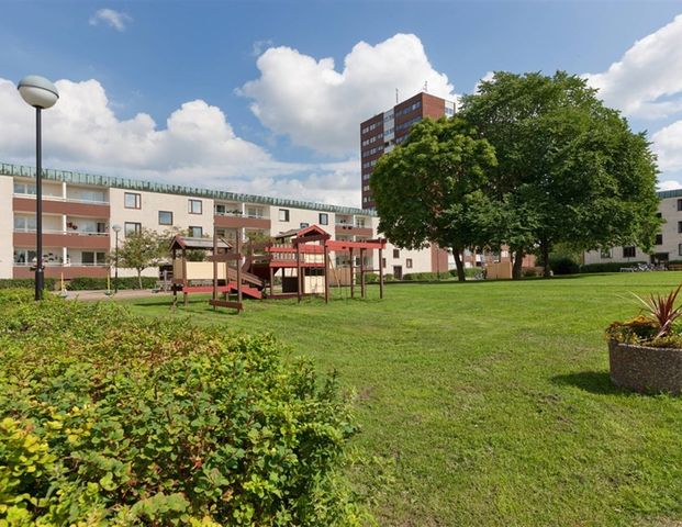 Sagogatan 5D - Foto 1