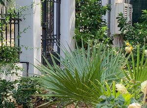 Διαμέρισμα για ενοικίαση - Νέα Μάκρη, - Photo 5