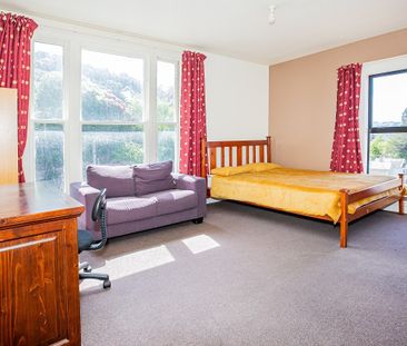 47 Park Street, North Dunedin - Photo 2