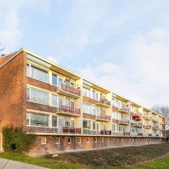 Dr. J. W. Paltelaan, 2712 Zoetermeer, Nederland - Foto 2