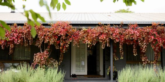 Elegant Family Living in a Sought-After Locale - Photo 3