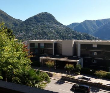 Affittasi a Massagno spazioso 3.5 locali - Foto 3