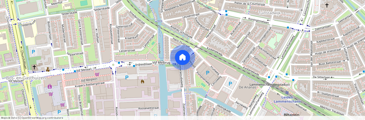 Leiden, Vrijheidslaan, 2321DL