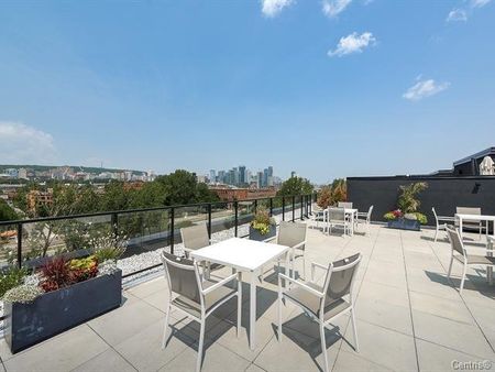 Condo for rent, Montréal (Le Sud-Ouest) - Photo 4