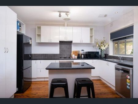 1/856 Padman Drive, West Albury NSW 2640 - Apartment For Rent | Domain - Photo 3