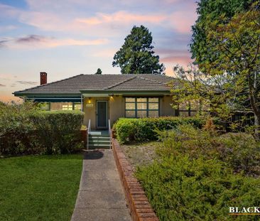 15 Hodgkinson Street, Griffith ACT 2603 - House For Rent | Domain - Photo 4