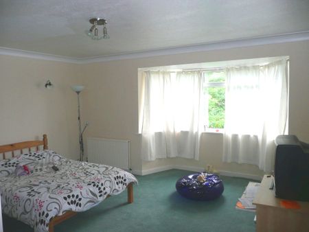 STUDENT Three Bedroom Flat – Surbiton (Cranes Park, KT5) - Photo 3