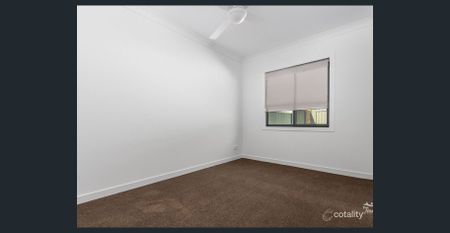 Hidden Gem in Holland Park - Photo 4