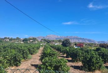 L'Alfàs Del Pi