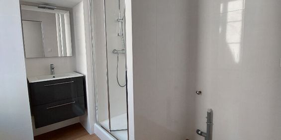 Location Appartement 1 pièce 26m² - Photo 3