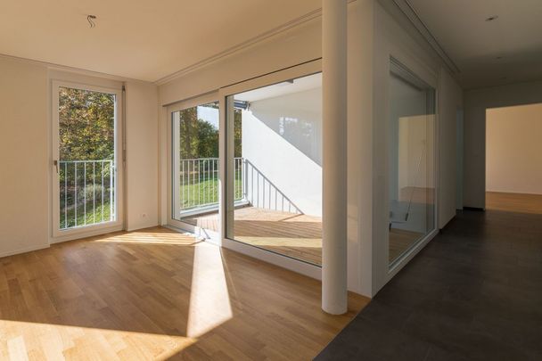 Widenmattstrasse, Sisseln - helle und moderne 2 1/2-Zimmerwohnung im 2.OG - Photo 1