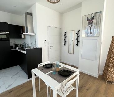 Location Appartement 1 pièce 28m² - Photo 4