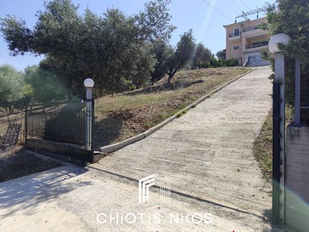 Μονοκατοικία για ενοικίαση Κουκάκι (Αμάρυνθος) - Φωτογραφία 2