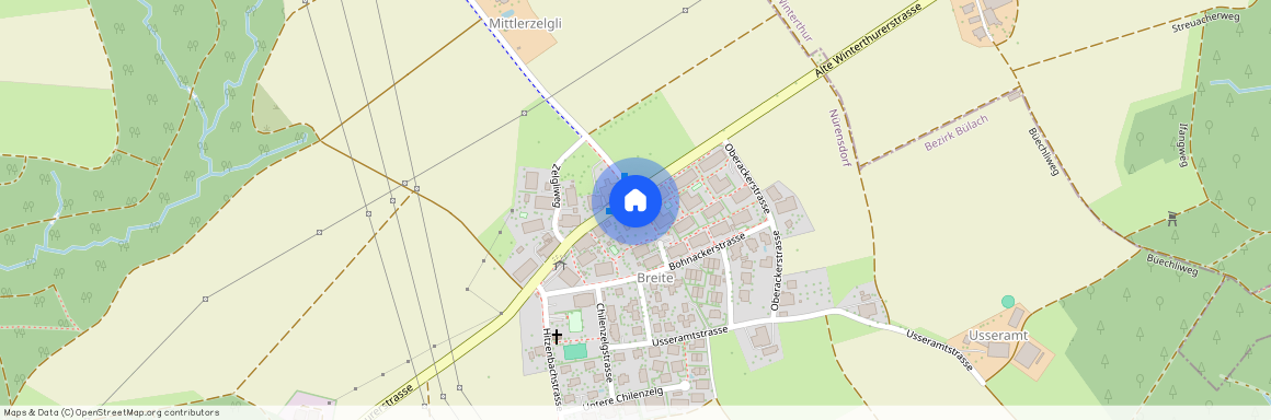 8309, Nürensdorf, Alte Winterthurerstrasse, 210