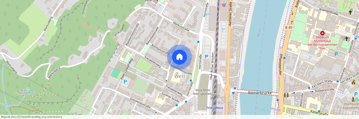 Hohensteinstrasse 14, 54290 Rheinland-Pfalz - Trier