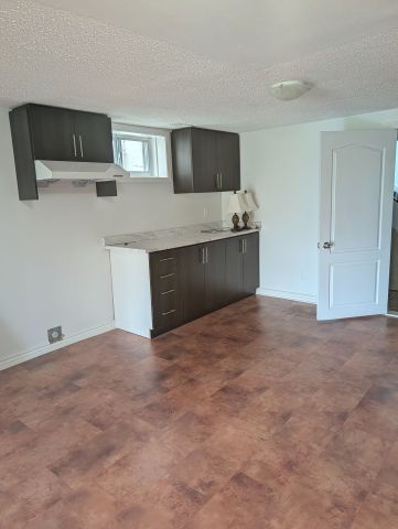 For Lease - 103 River Road Unit# Bsmt, Brampton, Ontario - Photo 3