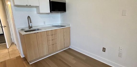 Studio - Saint-Charles-Borromée - $1,049 /mo - Photo 2