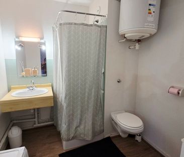 Location Appartement 1 pièce 33m² ORLEANS 45000 - Photo 5