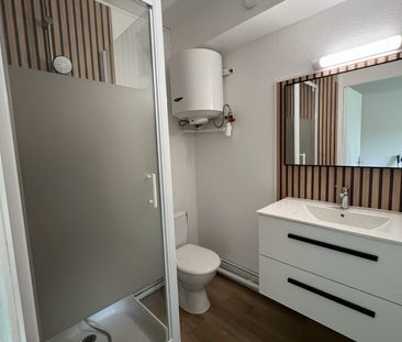 Location Appartement 1 pièce 17m² ORLEANS 45000 - Photo 4