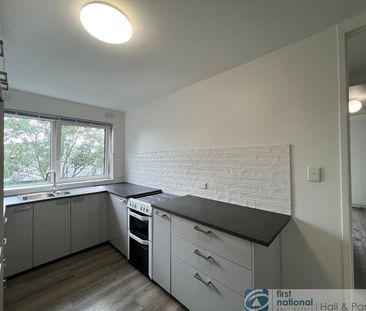 Charming 2 Bed, 1 Bath Unit - Comfort & Convenience Combined! - Photo 3
