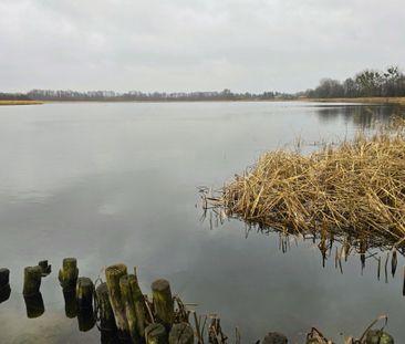 Wygodne mieszkanie, garaż, ogród, blisko jeziora - Zdjęcie 1