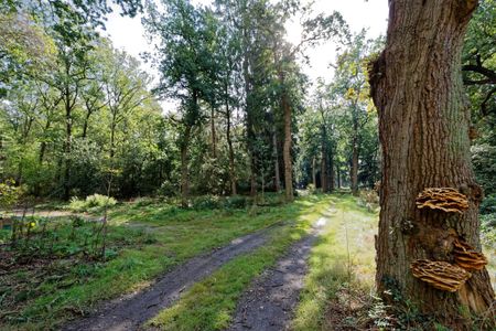 Huis te huur: Kruupweg 2 7731 PL Ommen - Foto 4