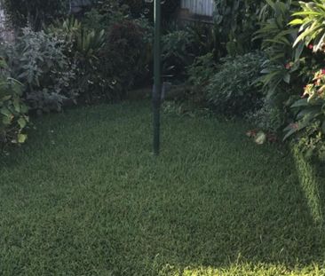 3 Blackwood Ave, Dulwich Hill, NSW 2203 - Photo 5