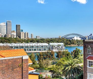 21/7 St Neot Avenue, Potts Point NSW 2011 - Studio For Rent | Domain - Photo 4