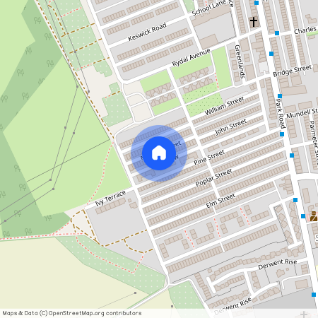 Mitchell Street, South Moor, Stanley