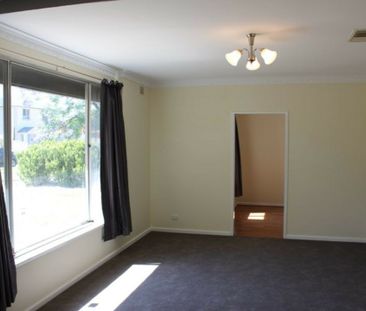 Tastefully Renovated 3-Bedroom Home with Great Outdoor Entertaining - Photo 4